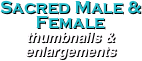 Sacred Male & Female
thumbnails &
enlargements